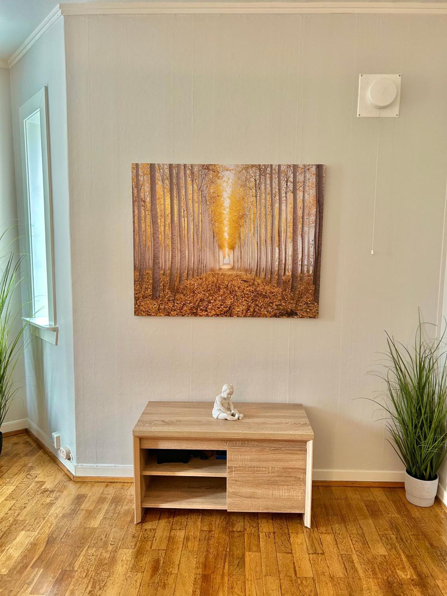 Gjestehuset Borggata 18 Фредрикщат Екстериор снимка